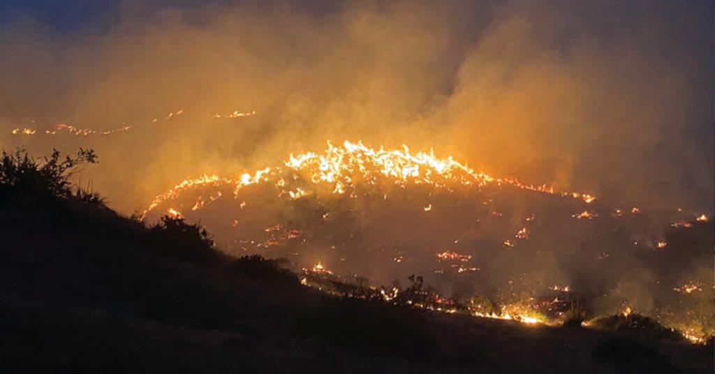 Firefighter posted as a lookout on the sunset fire.