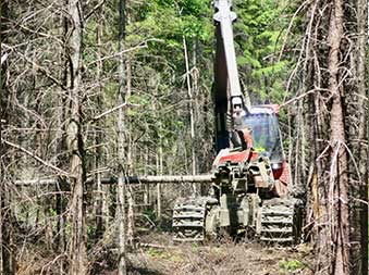 Maine Forest logging equipment