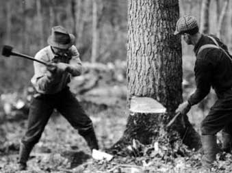 New Hampshire logger historic photo