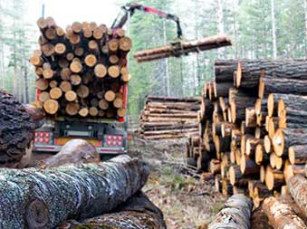 New York forest harvesting equipment