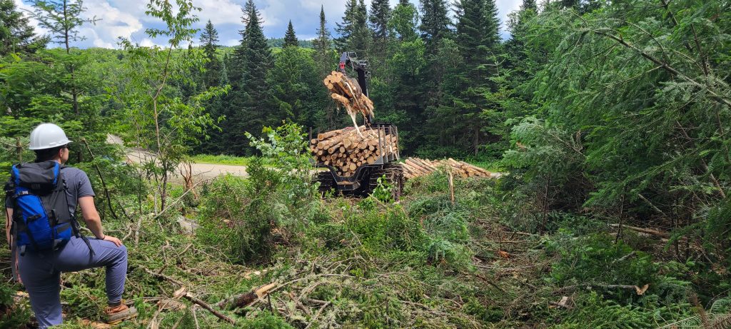 A forwarder unloading softwood logs on the CT Lakes Headwaters property in Pittsburg, NH this summer (photo credit Charles Levesque)