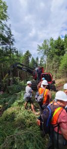 Foresters and a harvester operator on the Connecticut Lakes Headwaters Property this summer.