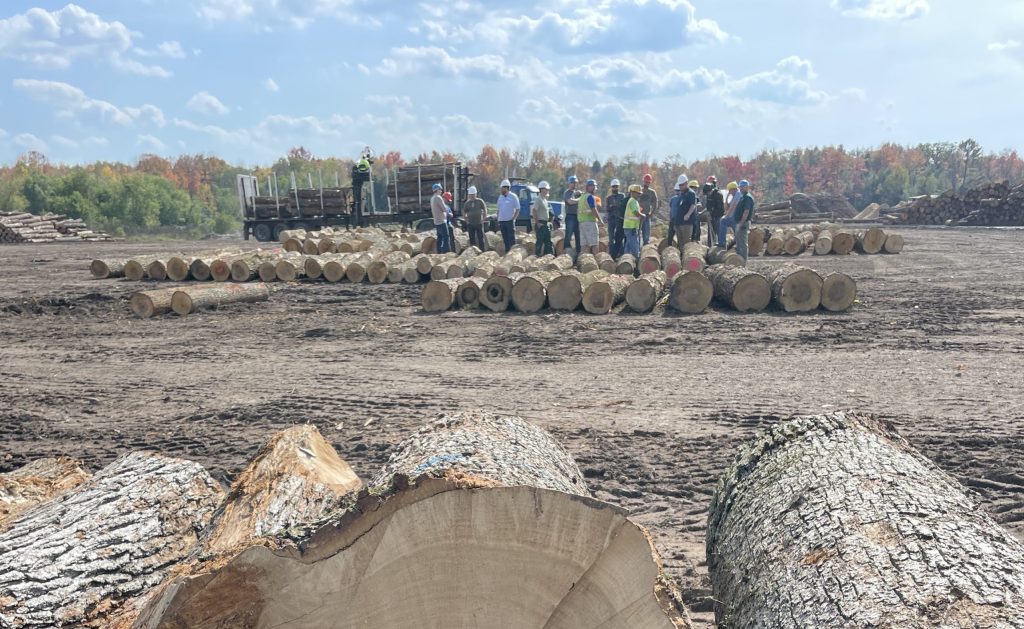 Forest Business School participants sometimes gather in person for field trips. 