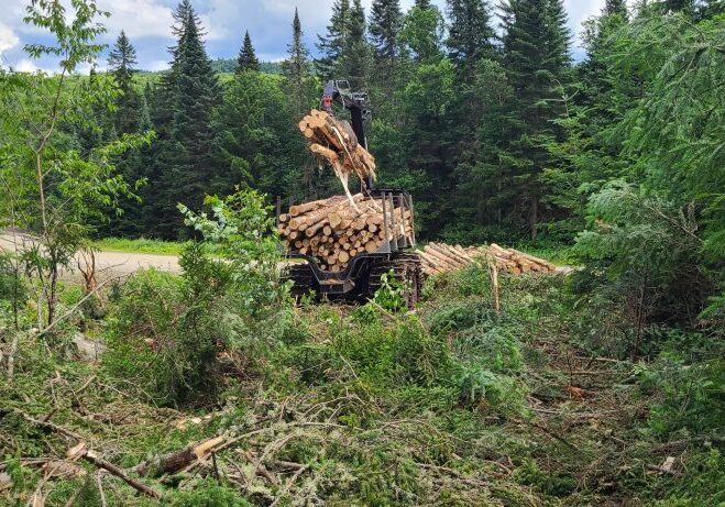 A forwarder unloading softwood logs on the CT Lakes Headwaters property in Pittsburg, NH this summer (photo credit Charles Levesque)