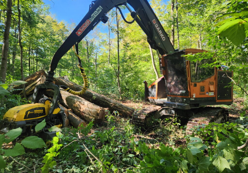 CZ Logging’s Barko 240B processor on a 300-acre logging job in Genessee, PA.