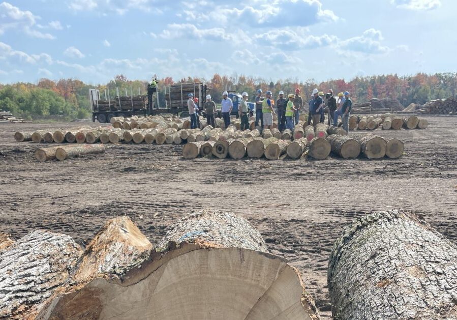 Forest Business School participants sometimes gather in person for field trips. 
