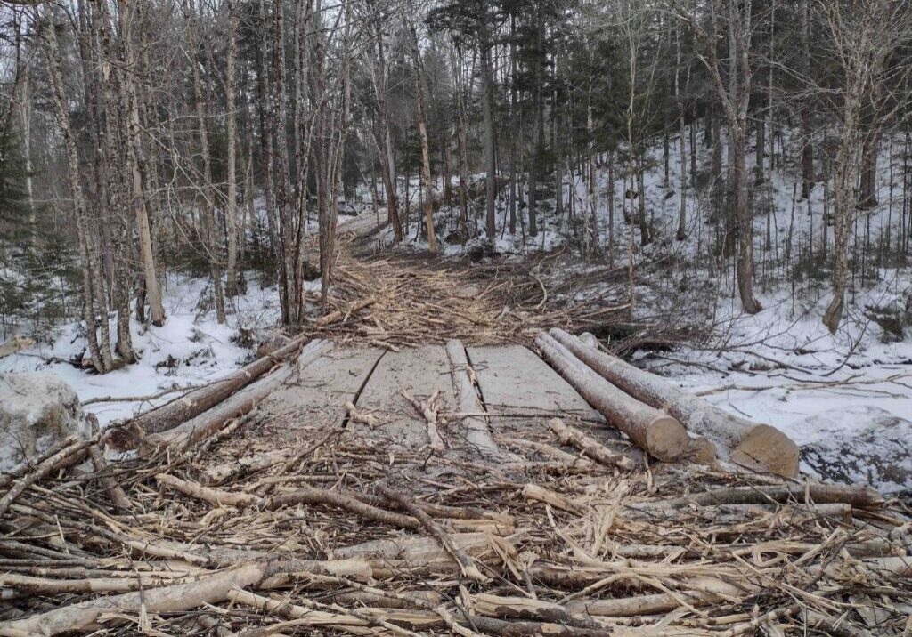 30' skidder bridge with brush and guardrails.