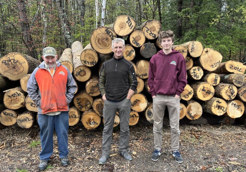 John Anderson, Canopy Timber Alternatives